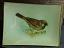 Vintage Songbird Glass Tray, by Lone Elm