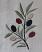 Olive Branch Embroidered Dishtowel, by DII.