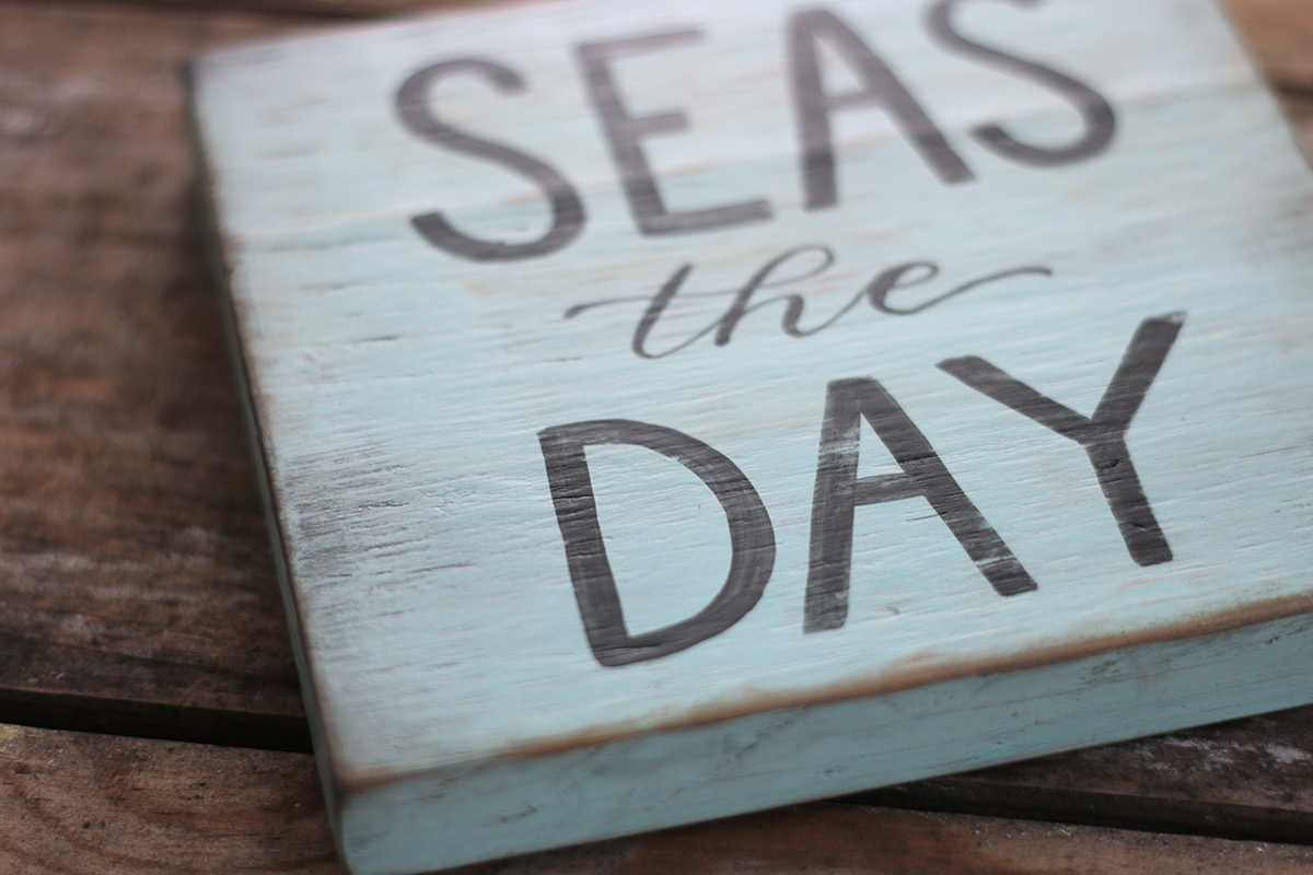 Seas the Day Reclaimed Wood Sign, by Our Backyard Studio in Mill Creek ...